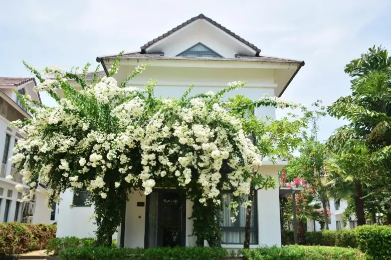 4-Bedroom Villa